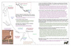 coo1e22 bustard_thumb.gif